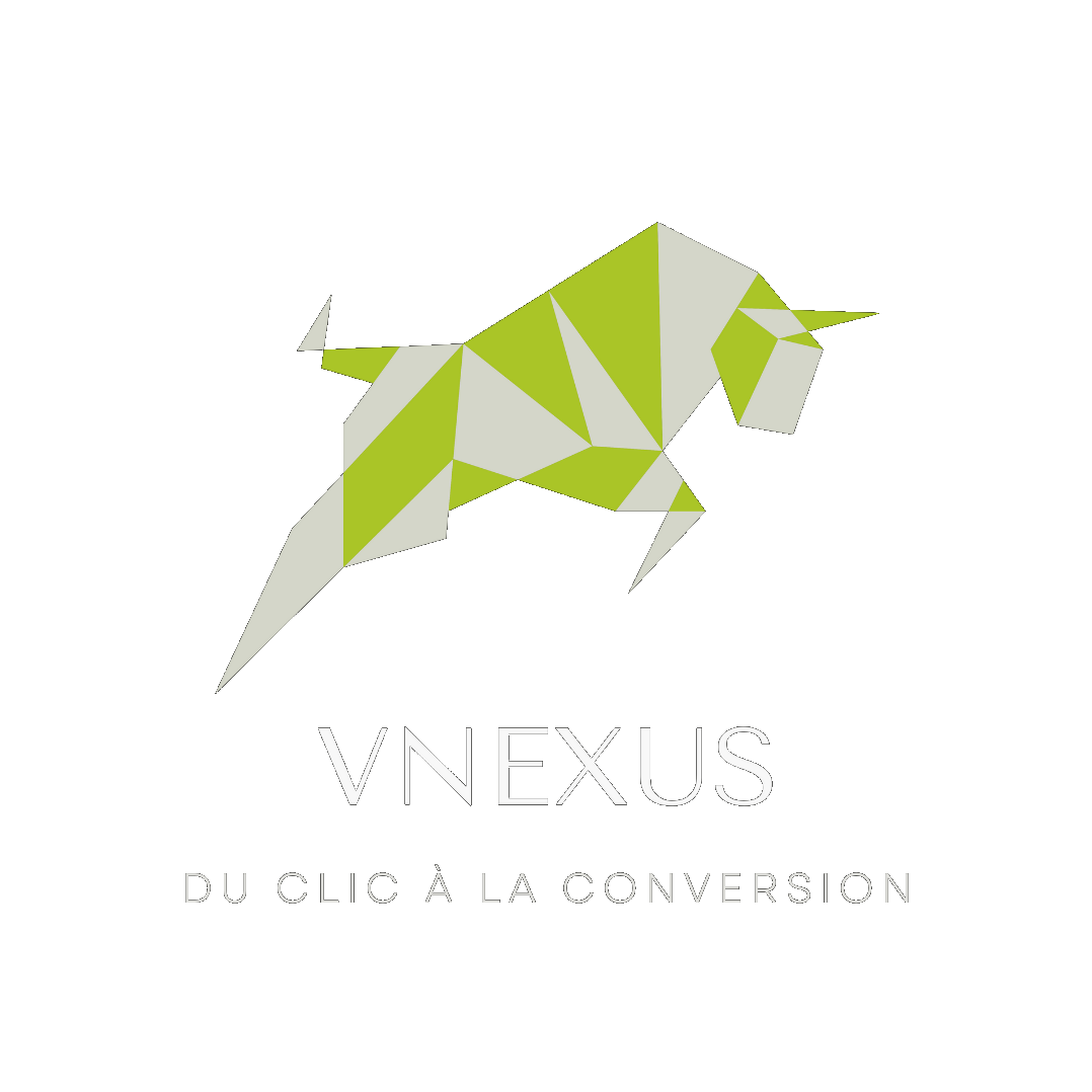 Vnexus digital agency